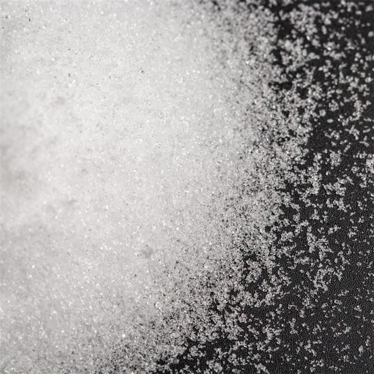 Capture One Catalog8442